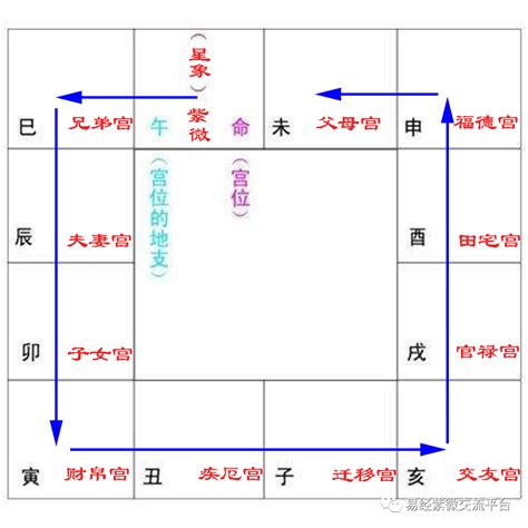 咸池入命|紫微斗数咸池星入十二宫代表什么？咸池星入命好不好？